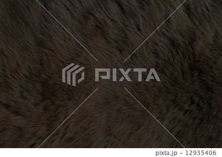 Fur Animal Textures, Black Bear 12935406