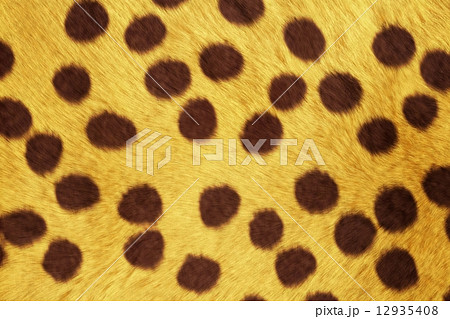 Fur Animal Textures, Cheetah 12935408