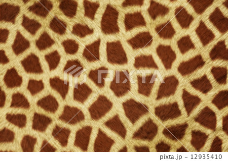Fur Animal Textures, Girafe 12935410