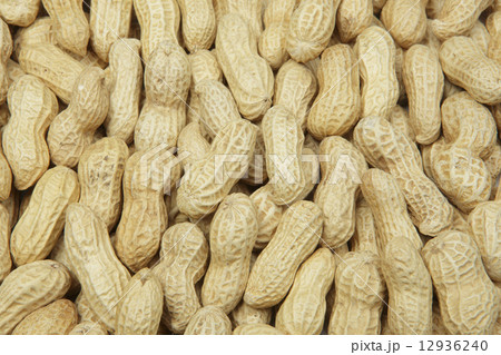 落花生 落花生 12936240