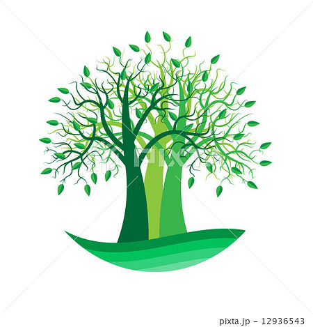 tree 12936543