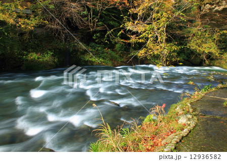 山中温泉 鶴仙渓 山中温泉 鶴仙渓 12936582
