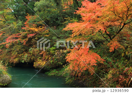 山中温泉　鶴仙渓 12936590