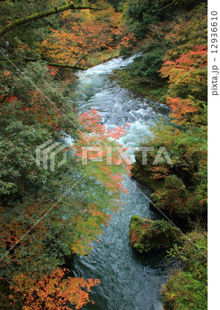 山中温泉　鶴仙渓 12936610