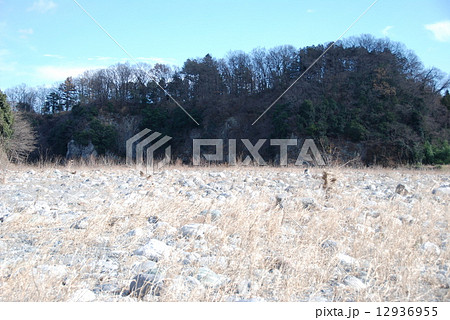 玉淀川原（荒川･中流／埼玉県大里郡寄居町大字鉢形） 12936955
