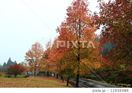 紅葉の竹田川と千古の家 12936986