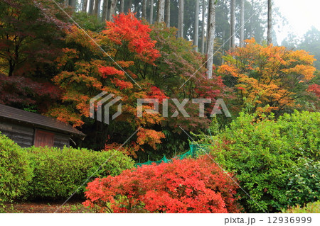 紅葉の竹田川と千古の家 12936999