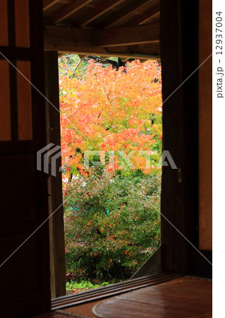 紅葉の竹田川と千古の家 12937004