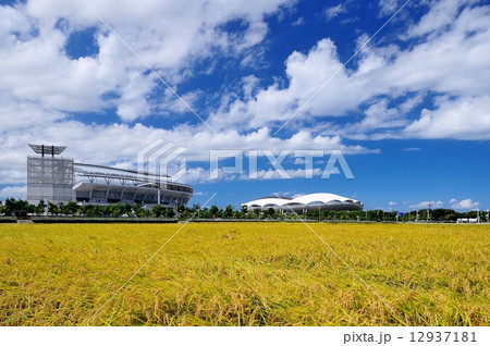 新潟市の田園 12937181