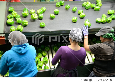 アメリカ 工場 アメリカ 工場 12937210