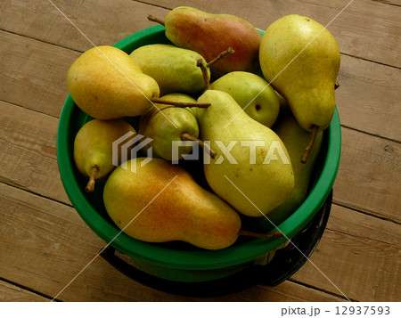 bucket full of pears 12937593