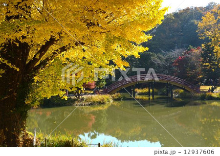 深まり行く秋の称名寺 12937606