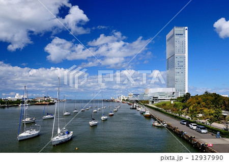 朱鷺メッセと信濃川 12937990