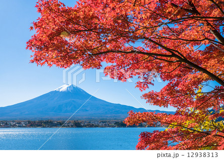 富士山写真作品 晩秋 富士山、秋、山、静岡、 高画質の壁紙 | Pxfuel
