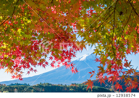 秋の富士山 12938574