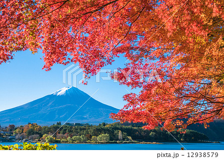 秋の富士山 12938579