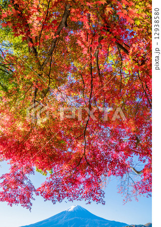 秋の富士山 12938580