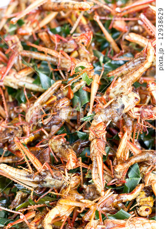 Pile of fried grasshopper. 12938629