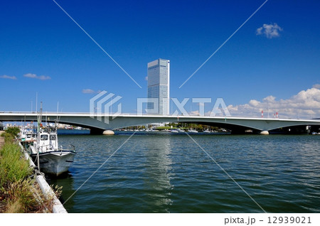 信濃川と柳都大橋 信濃川と柳都大橋 12939021
