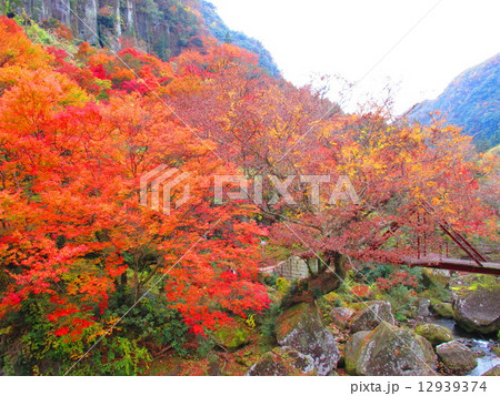 一目八景2014 一目八景2014 12939374