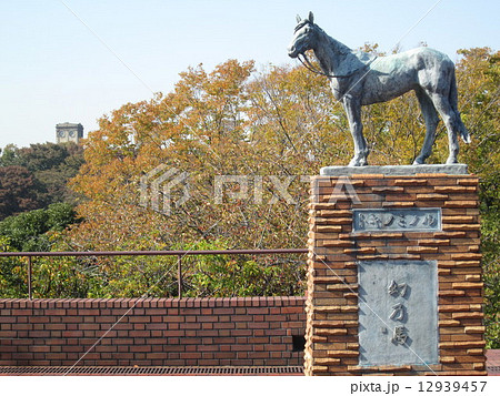 馬の博物館・根岸森林公園　競馬場跡 12939457