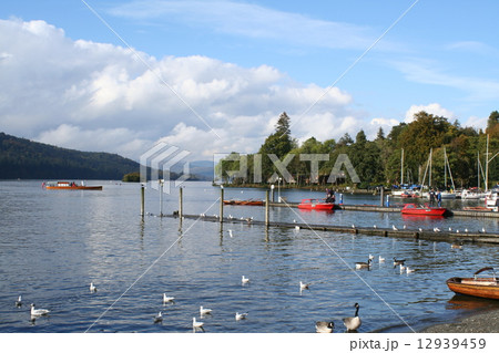 イギリス湖水地方 ウインダミア湖 湖畔 イギリス湖水地方 ウインダミア湖 湖畔 12939459