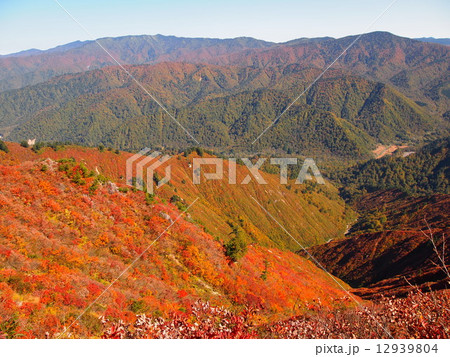 平ヶ岳登山道からみる紅葉 平ヶ岳登山道からみる紅葉 12939804