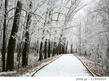 Walkway in snowy city park 12940004