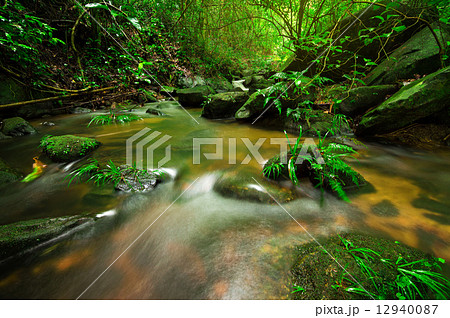 Creek, brook Creek, brook 12940087