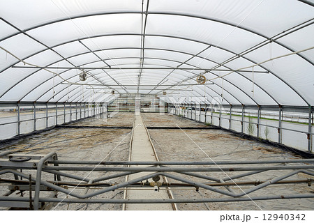 アメリカ タバコ栽培 アメリカ タバコ栽培 12940342