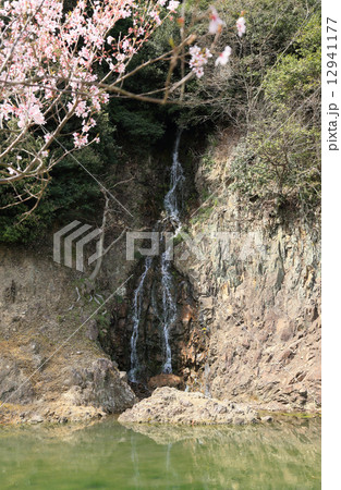 「栗林公園」桶樋滝と桜 12941177
