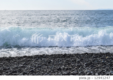 沼津千本浜 沼津千本浜 12941247