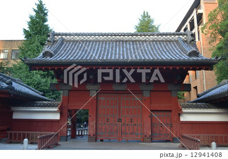 赤門 12941408