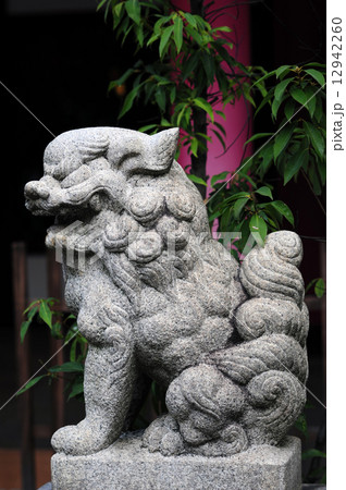 十三戎神社の狛犬-2 12942260