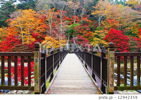 紅の吊橋 12942359