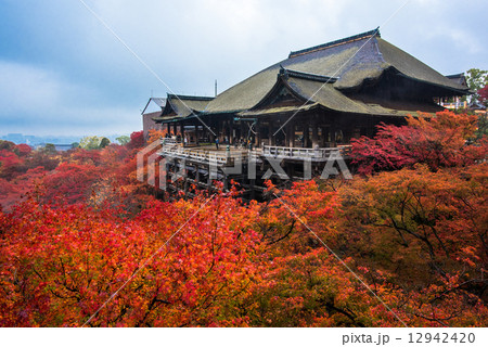 清水寺 舞台 秋 清水寺 舞台 秋 12942420