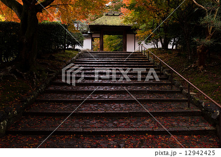 安楽寺の紅葉 12942425
