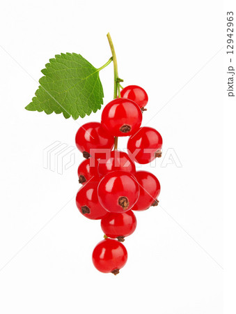 Red Currant with leaf 12942963