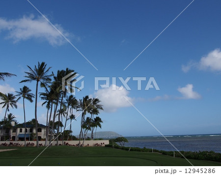 ワイアラエ　ゴルフコース 12945286
