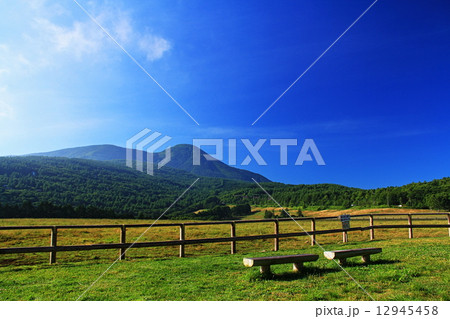 白樺高原 12945458