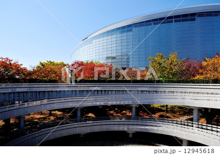 新潟市民芸術文化会館と紅葉 12945618