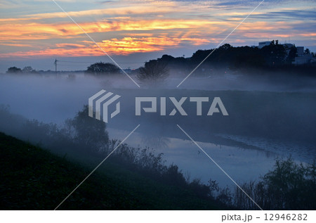 見沼田圃・夜明け前　朝霧 12946282