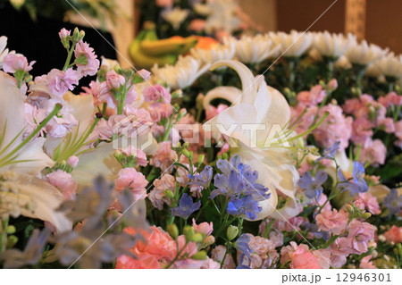 花祭壇 12946301