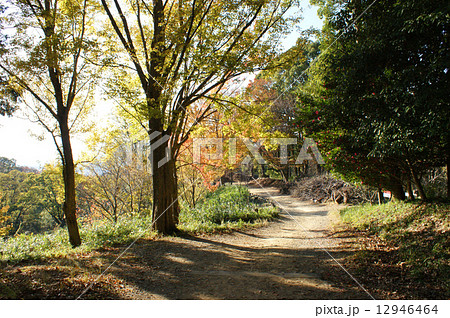 秋の山 秋の山 12946464