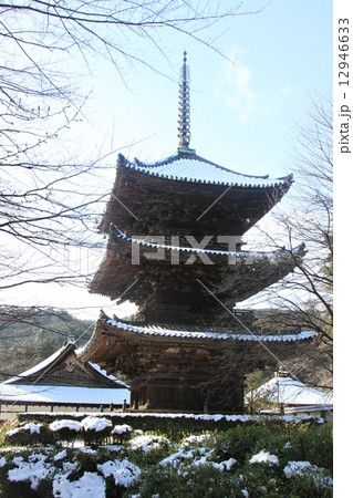 三井寺 12946633