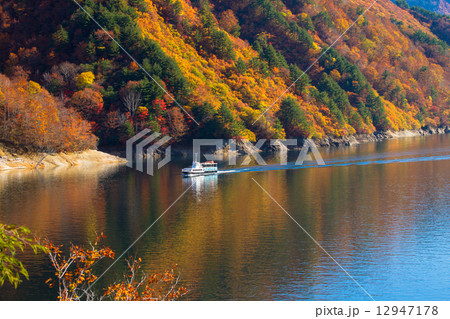 新潟県魚沼市 奥只見湖 紅葉の遊覧船の写真素材