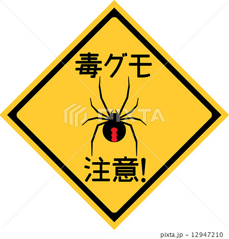 セアカゴケグモ　注意標識　四角 12947210