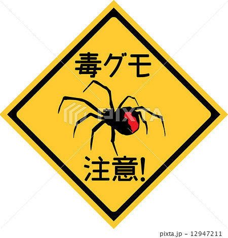 セアカゴケグモ　注意標識　四角 12947211