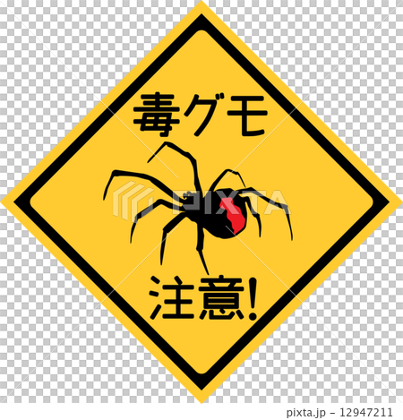 セアカゴケグモ　注意標識　四角 12947211