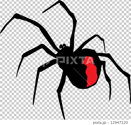 セアカゴケグモ セアカゴケグモ 12947220